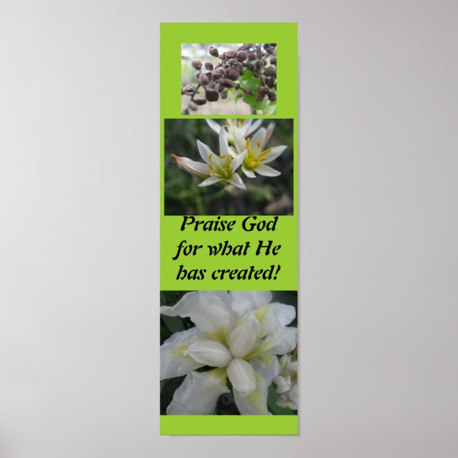 Póster Louvado Deus pelo que ele criou! (Frente)