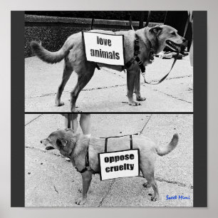 Póster Love Animals