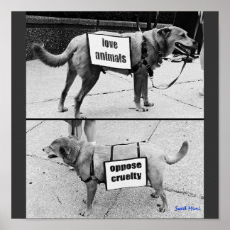 Póster Love Animals