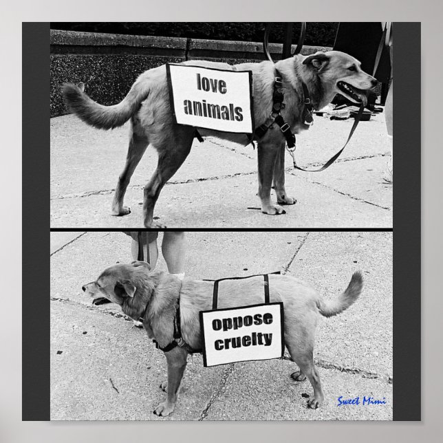 Póster Love Animals (Frente)