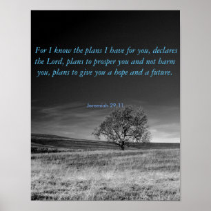 Póster Love Bible Verse