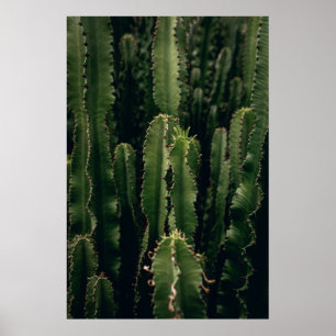 POSTER LOVE CACTUS