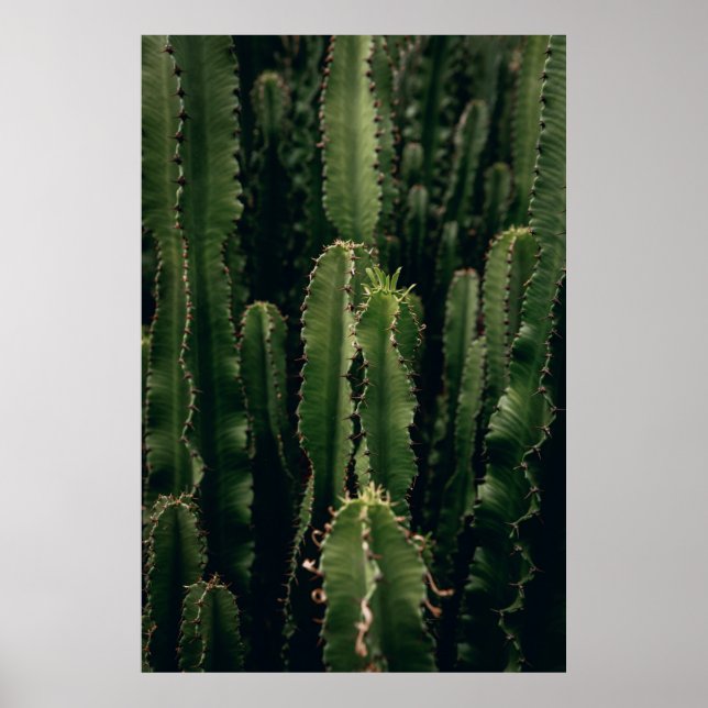 POSTER LOVE CACTUS (Frente)