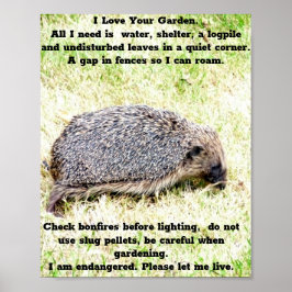 Poster Love Hedgehogs