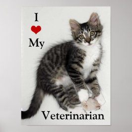 Póster Love My Veterinarian Zorro Gatinho
