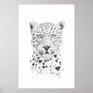 Poster Lovely leopard