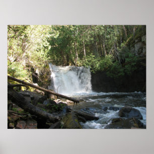 Poster Lower Johnson Falls