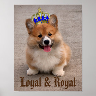 Poster Loyal e Royal Corgi Puppy