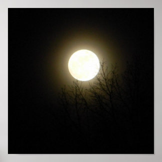 Póster Lua cheia