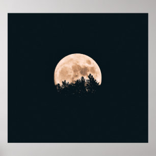 POSTER LUA CHEIA ATRÁS DE UMA ESCADA DE ÁRVORE