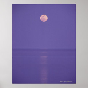 Póster Lua cheia cor-de-rosa
