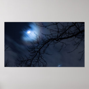 Poster Lua cheia no céu nocturno, Ohio