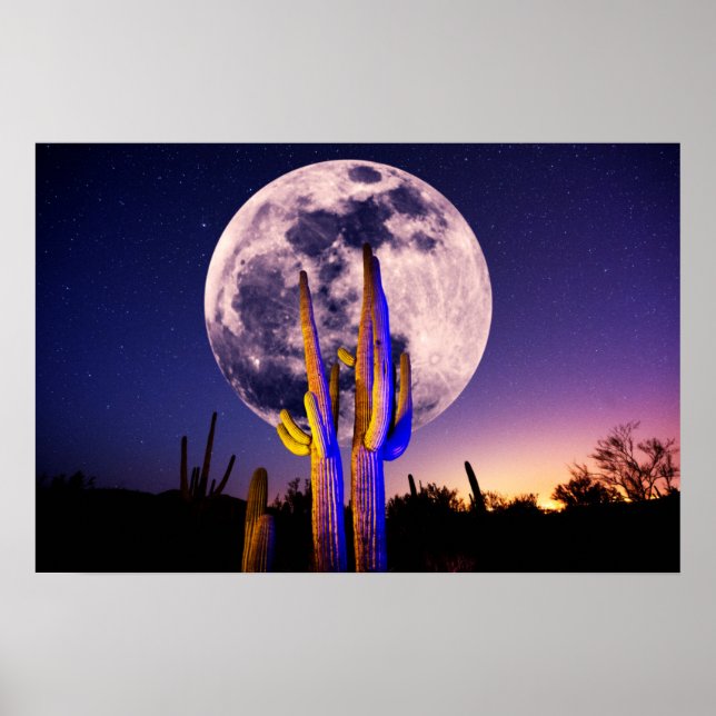 Poster Lua Cheia Sobre Saguaro Cactus (Frente)