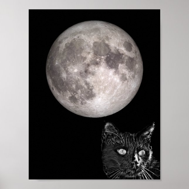 Poster Lua cheio-sombra de gato preto (Frente)