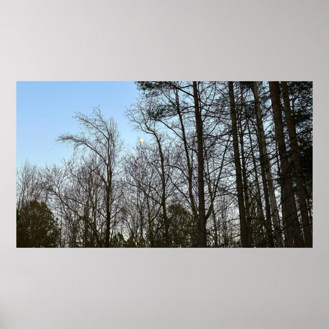 Poster Lua da madrugada, (Frente)