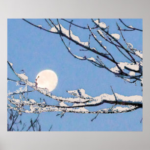 Póster Lua do inverno