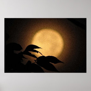 Poster Lua do outono