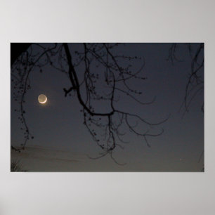 Póster Lua e Mercúrio