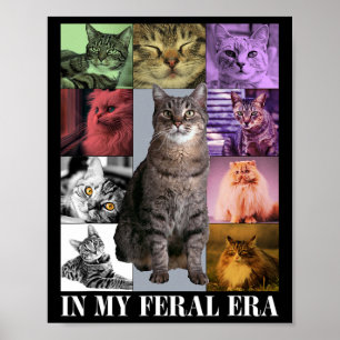 Poster Lua Gata Engraçada Na Minha Era Feral Gatinho Para