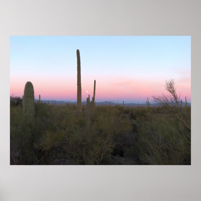 Poster Lua Rosa sobre Saguaro ao Nascer do Sol (Frente)