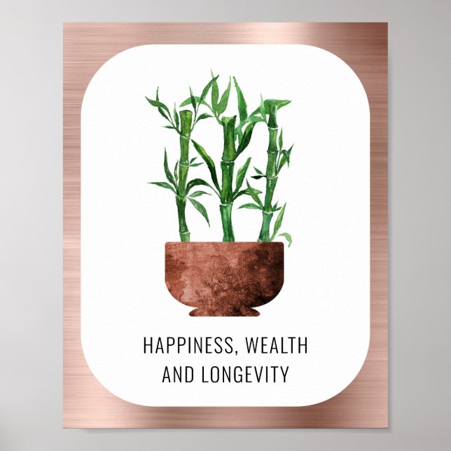 Poster Lucky Bamboo Felicidade Riqueza Rosa de Longevidad (Frente)