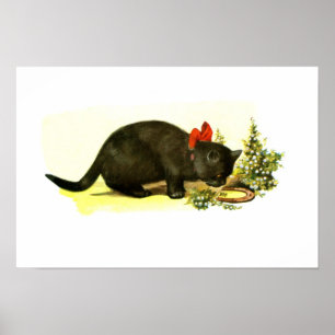 Póster Lucky black cat animal art