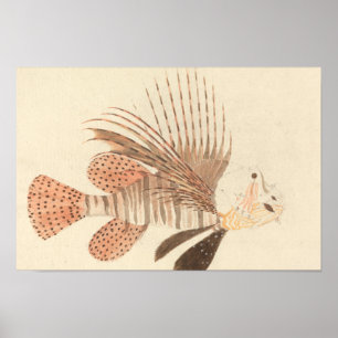 Poster Luigi Balugani - Lionfish