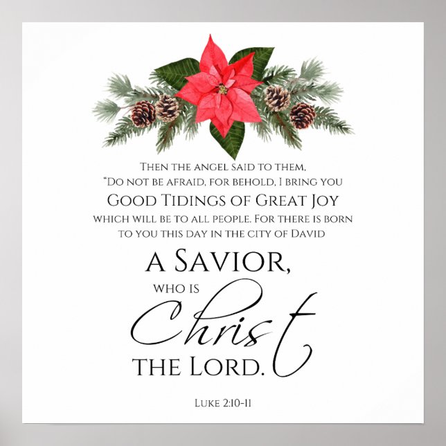 Poster Luke 2:10-11 Bons Tidings Poinsettia Natal (Frente)