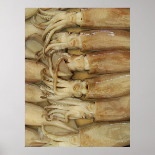 Poster Lula - Calamari