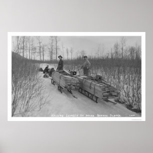 Poster Lumber Dog Seward, Alasca 1917