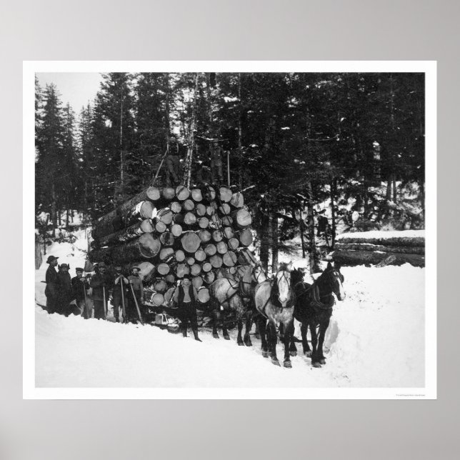 Poster Lumber Hauling Seward, Alasca 1919 (Frente)