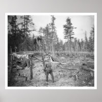 Lumberjacks no Alasca 1916