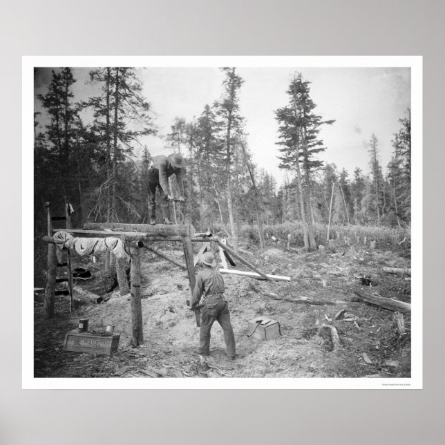 Póster Lumberjacks no Alasca 1916 (Frente)