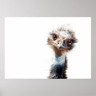 Poster Luminous Emu Art