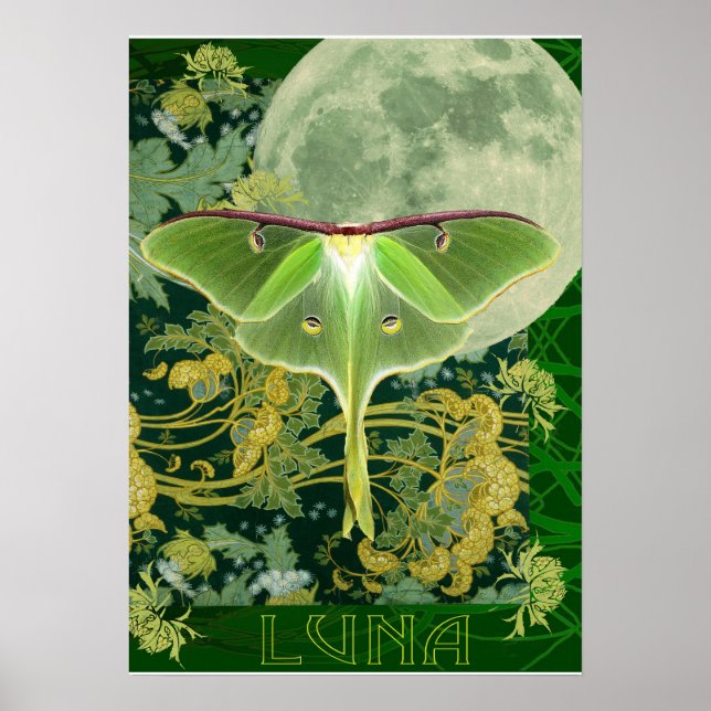 Poster Luna Moth and Moon Poster, Green Nature Collage (Frente)