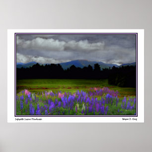 Poster Lupine Mindscape de Lafayette