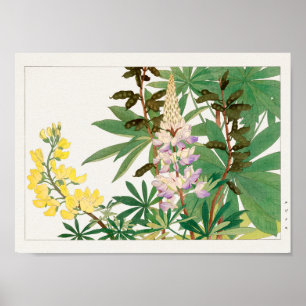 Poster Lupine por Tanigami Konan
