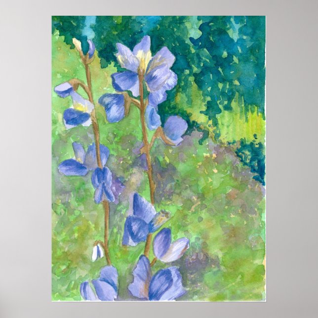 Póster Lupine Púrpura Flores Selvagens Paisagem Aquarela (Frente)