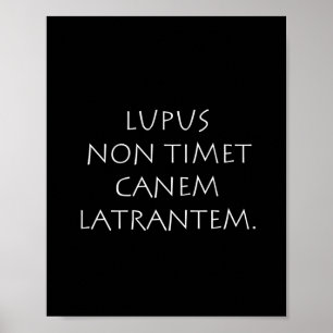 Poster Lupus non timet canem latrantem