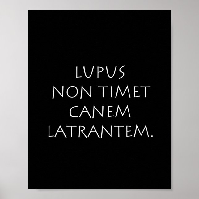 Poster Lupus non timet canem latrantem (Frente)