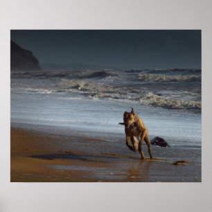 Póster Lurcher Running na praia
