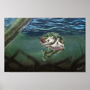 Poster Lured In Largemouth Bass