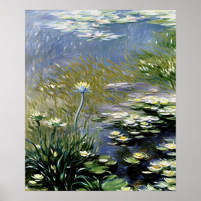 Poster Lush Agapanthus Flowers em Giverny (Frente)