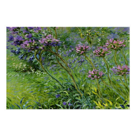 Póster Lush e Vibrante Representação das Flores de Agapan