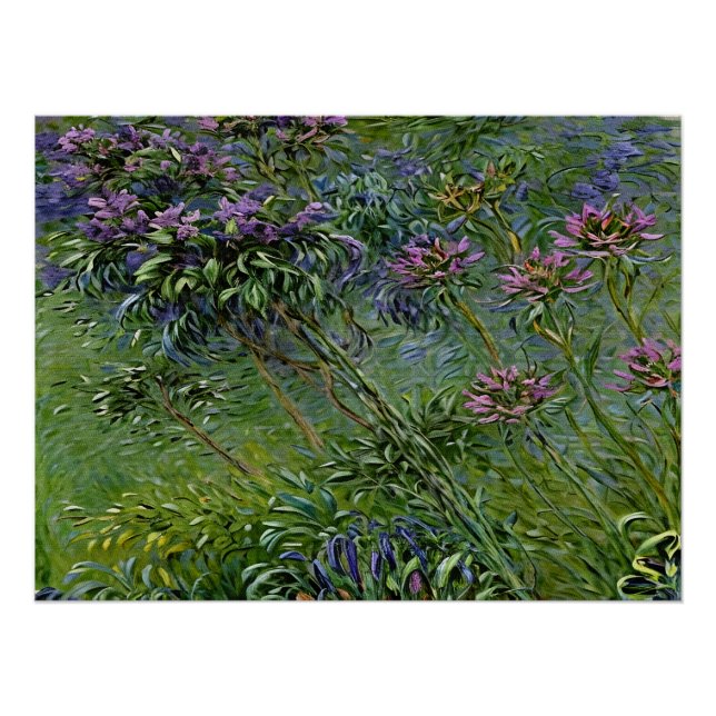 Póster Lush e Vibrante Representação das Flores de Agapan (Frente)