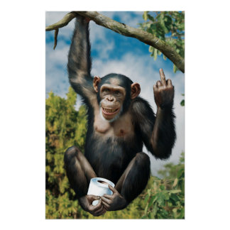 Póster Lustiges WC Poster