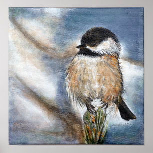 Poster lustroso tampado preto do Chickadee