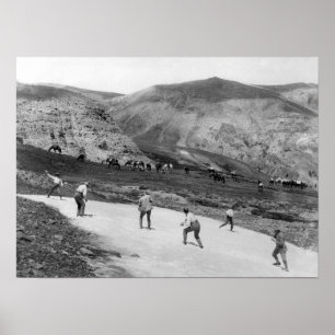 Póster Luta com Snowball - Festa de Campo de Pesquisa Geo