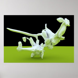 Póster Luta Kung-Fu