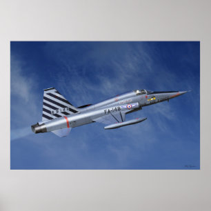 Póster Lutador da liberdade F-5